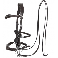 Calli Rose Hackamore Bitless Bridle & Reins